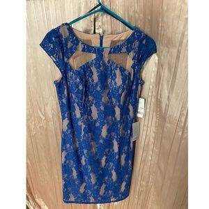 Blue/nude shiny lace dress